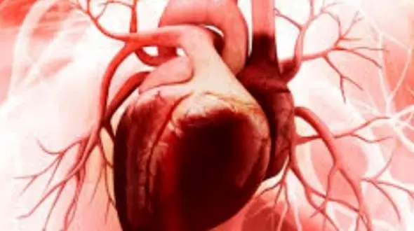 ارتباط عجیب بین دیابت و بیماری‌ های قلبی؛ کشف حقیقت!