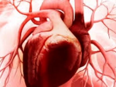 ارتباط عجیب بین دیابت و بیماری‌ های قلبی؛ کشف حقیقت!