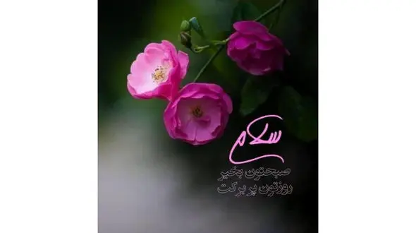 فال روزانه شخصی / 22 اسفند ماه + فیلم