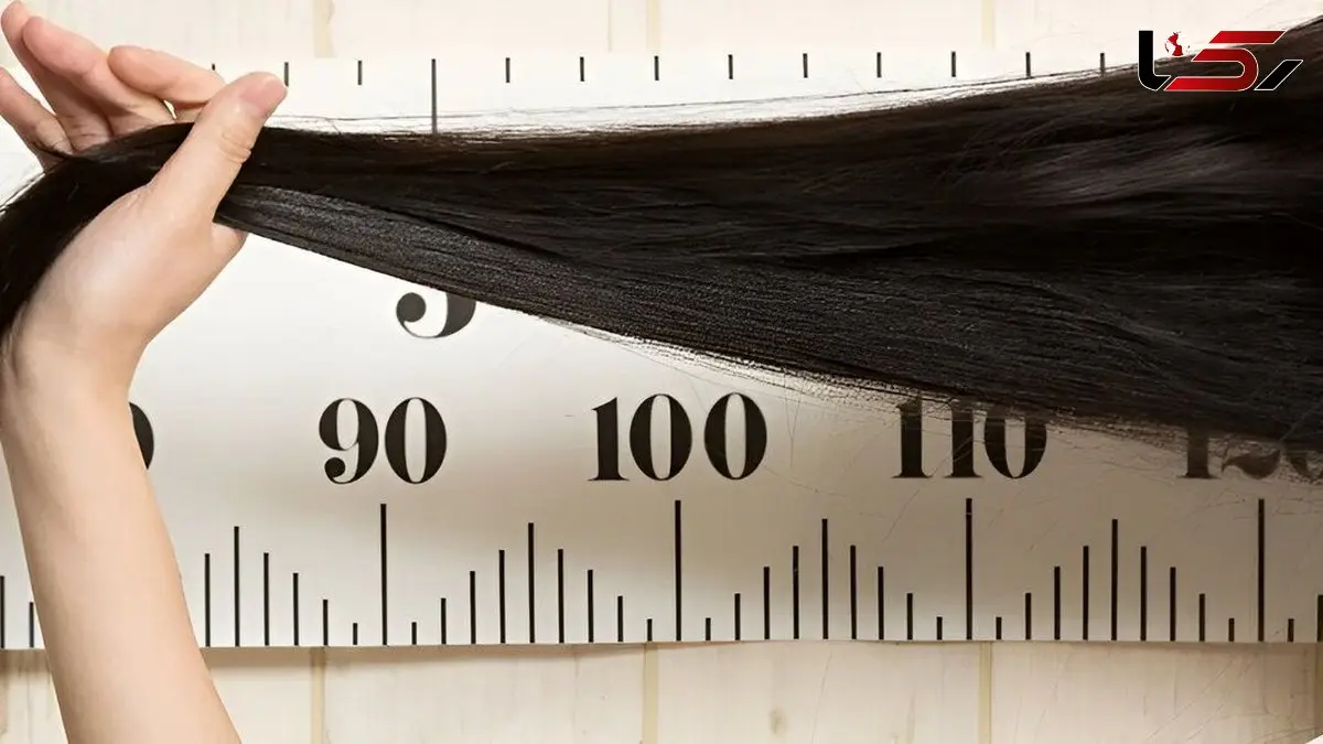 آیا کوتاه کردن مو باعث رشد سریع تر آن می شود؟ راز بلند کردن مو در کمترین زمان