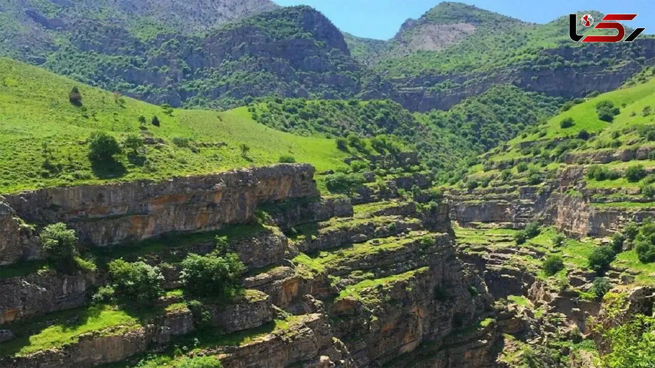 دره ارغوان؛ جادوی رنگ و زندگی در دل کوهستان + فیلم