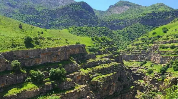 دره ارغوان؛ جادوی رنگ و زندگی در دل کوهستان + فیلم
