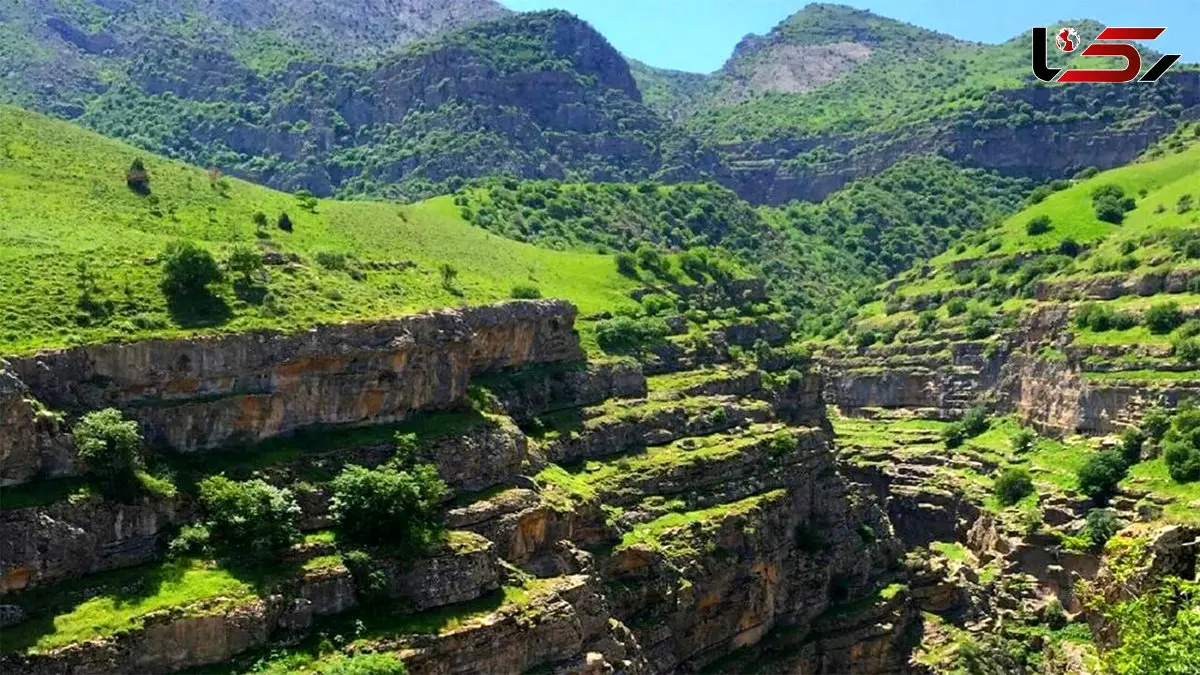 دره ارغوان؛ جادوی رنگ و زندگی در دل کوهستان + فیلم