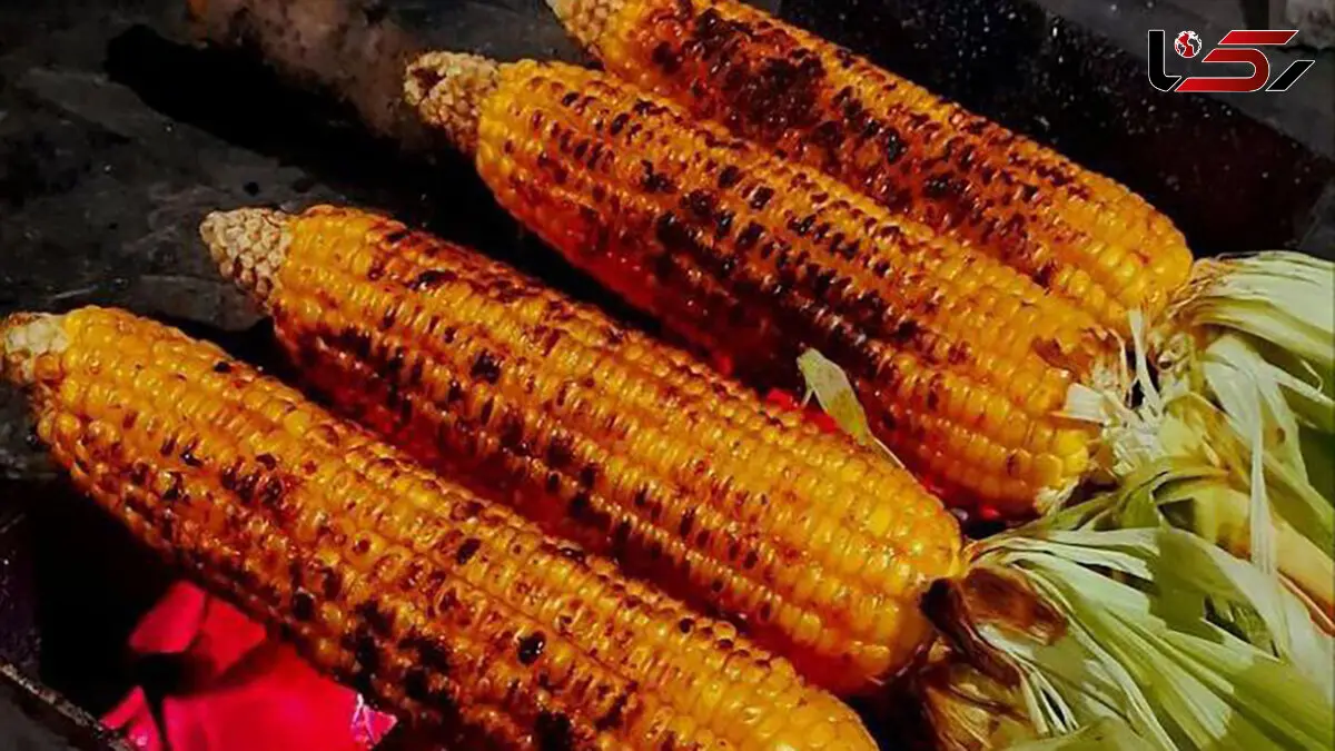 فال و طالع بینی روزانه 10 بهمن + فیلم 