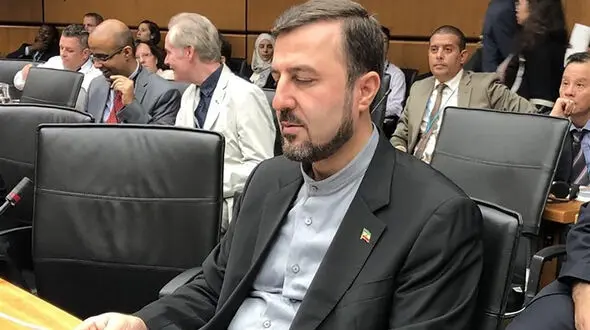 دبیر ستاد حقوق بشر عارم نیویورک شد
