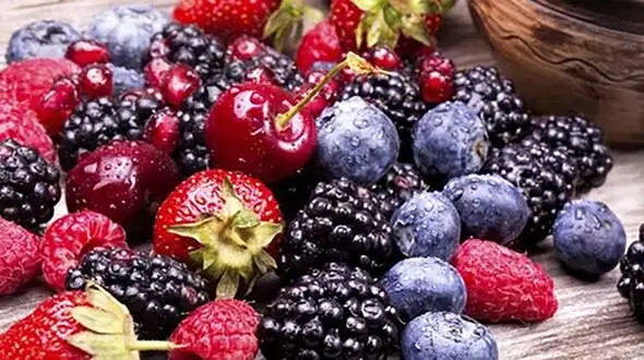 راز لاغری در دل طبیعت؛ میوه‌ های توت‌ مانند و چربی‌ سوزی بدن