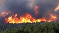  جنگل های پلدختر در محاصره آتش/ فرماندار درخواست اعزام بالگرد کرد