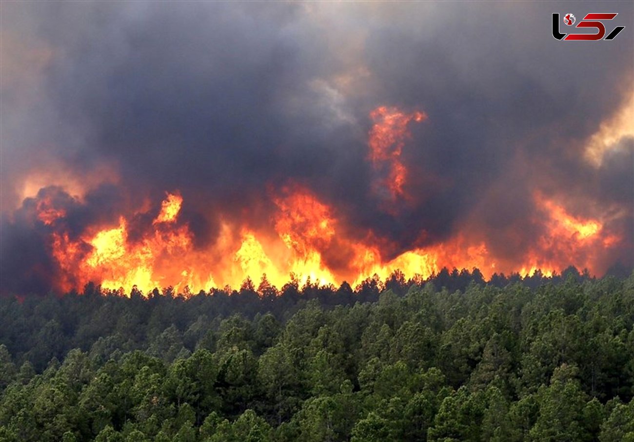  جنگل های پلدختر در محاصره آتش/ فرماندار درخواست اعزام بالگرد کرد