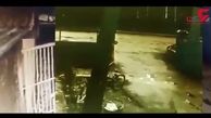 لحظه وحشتناک حمله گاو به جوان دانشجو در حیاط دانشگاه! +فیلم 