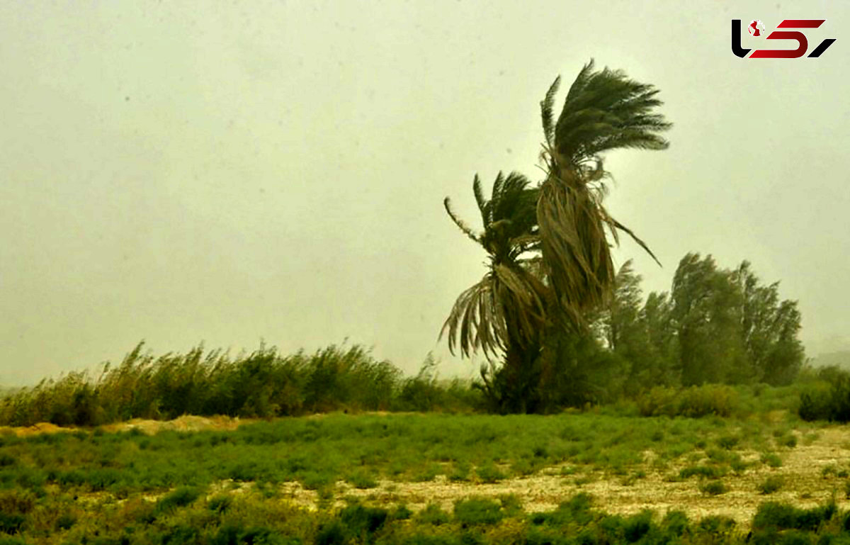 باد و گرد و خاک ، مهمان امروز کرمان