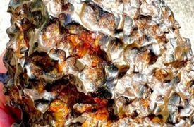 سقوط عجیب شهاب‌ سنگی که از زمین قدیمی‌ تر است! + فیلم لحظه برخورد