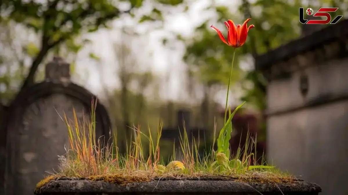 راز شادکامی: چگونه «تئوری تشییع جنازه» می‌ تواند زندگی شما را تغییر دهد؟