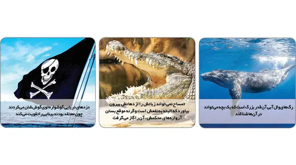 چیزهایی که نمی‎دونی! + عکس
