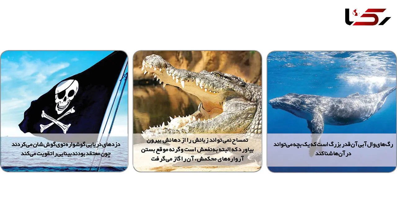 چیزهایی که نمی‎دونی! + عکس