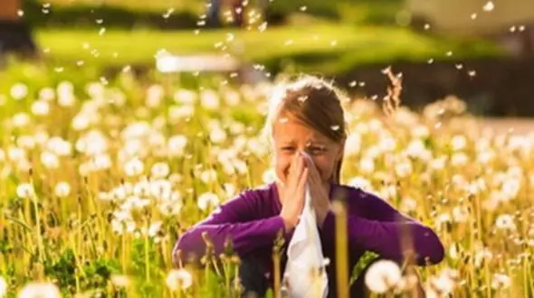 بهترین روش‌ها برای مقابله با آلرژی بهاری - راهنمای کامل