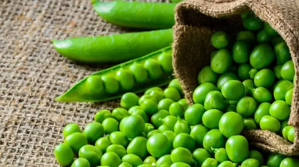 خواص نخود فرنگی برای شما دوست عزیز