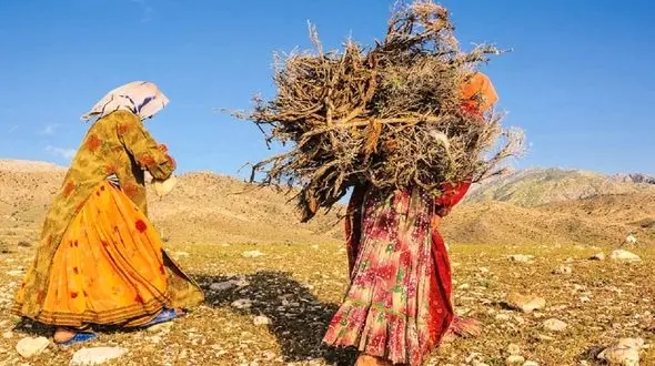 رواج کوله‌بری هیزم در ایرانی که هر مترش قابلیت تولید انرژی خورشیدی دارد/ زجر مردم بخاطر مقاومت مسئولان در برابر تغییر!