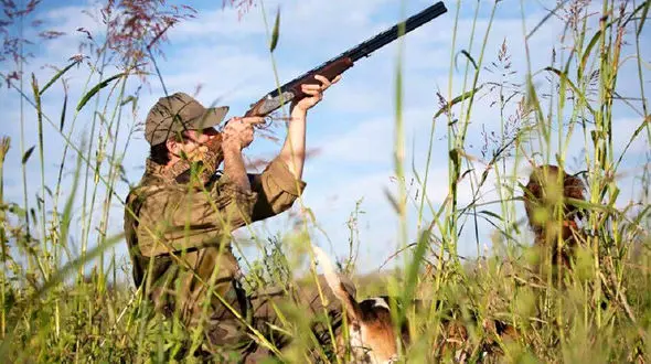 شکارچی متخلف در ملایر به سه سال حبس محکوم شد
