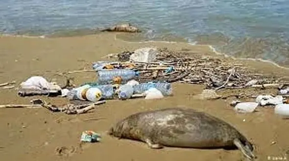 دریای خزر در محاصره آلودگی نفتی و فاضلاب شهری است/تعداد ماهیان کم شده و ماهیگیران افزایش پیدا کرده اند 