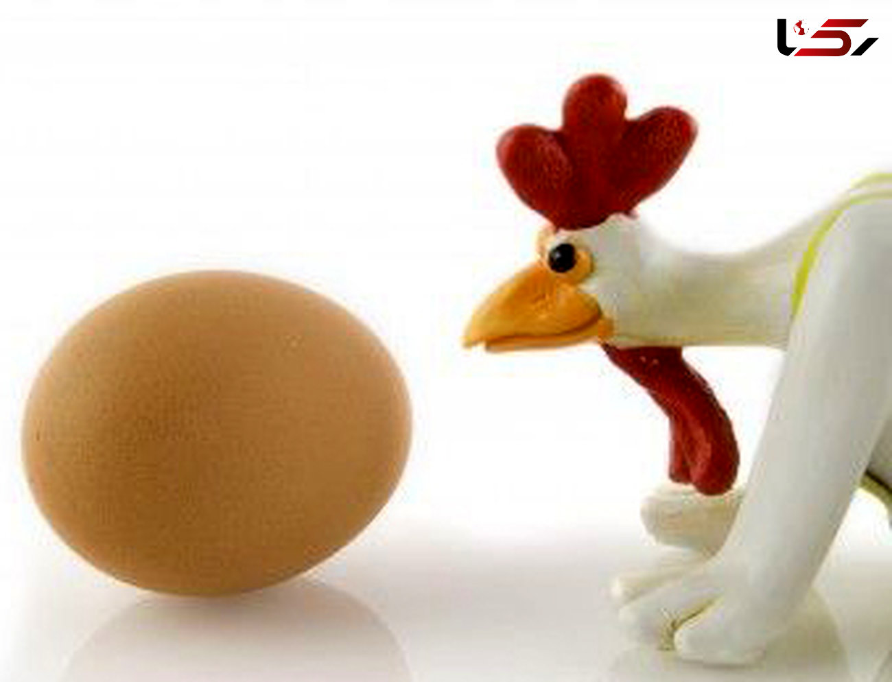 خودتان را خسته نکنید اول مرغ بود ه بعد تخم مرغ!