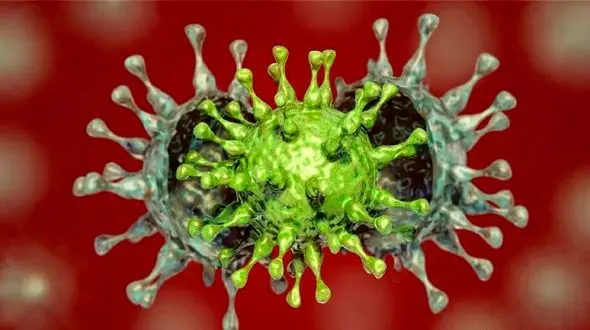 سه مورد کرونای هندی در بوشهر تایید شد