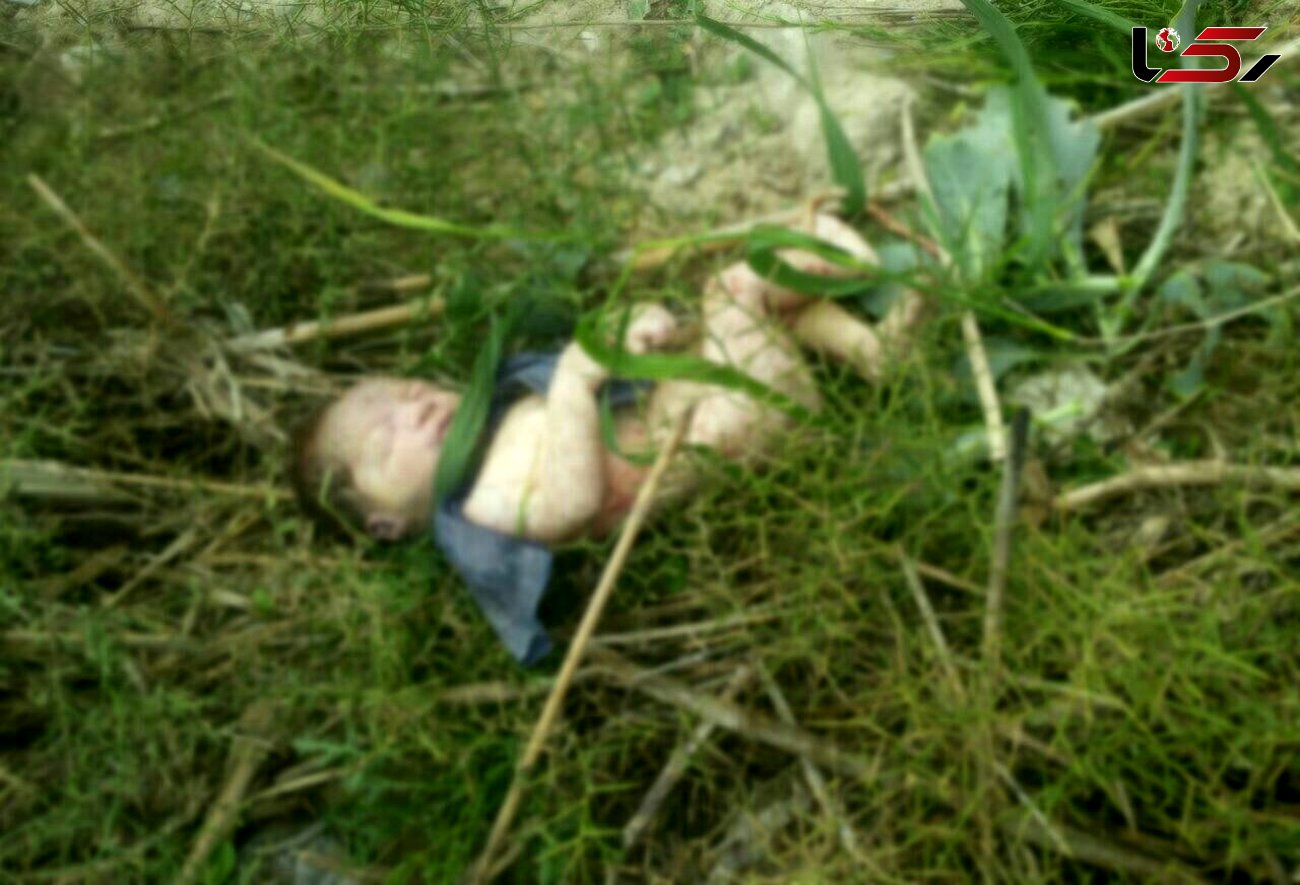 سرنوشت هولناک نوزاد رها شده در جنگل / جای دندان حیوانات روی بدن او بود! + عکس 