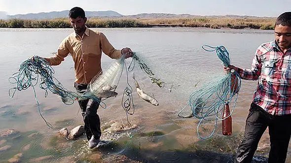 نابودی ماهی های رود ارس در سایه ساخت سد، آلودگی آب و صید بی رویه / سازمان شیلات سریعتر اقدام به تکثیر گونه های بومی کند + فیلم