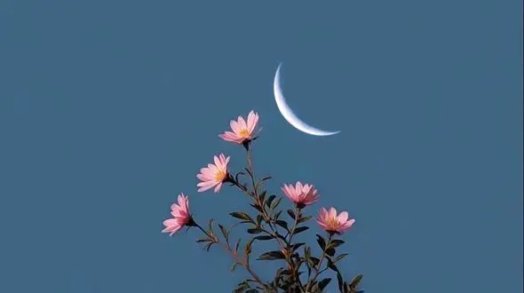 فال ابجد امروز 5 اردیبهشت 1405