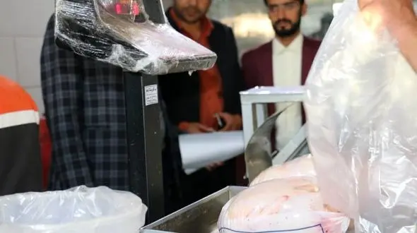 کشف ۹ تن مرغ احتکاری از یک کشتارگاه در زرند / توزیع مرغ‌های احتکاری به دستور دادستانی

