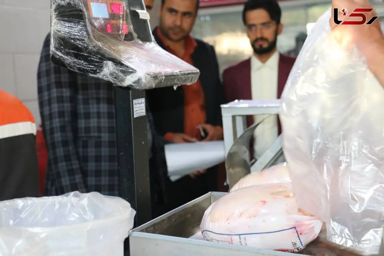 کشف ۹ تن مرغ احتکاری از یک کشتارگاه در زرند / توزیع مرغ‌های احتکاری به دستور دادستانی

