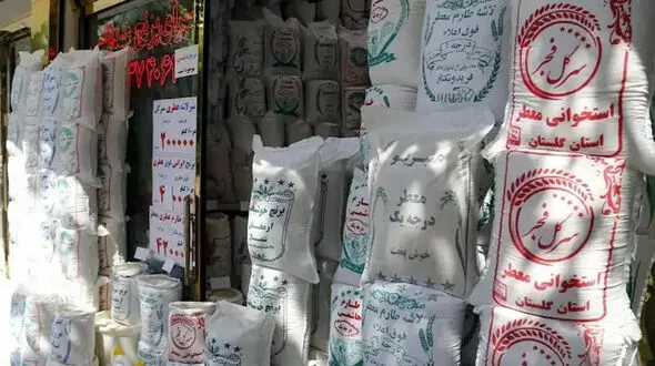 قیمت برنج ارزان می‌شود
