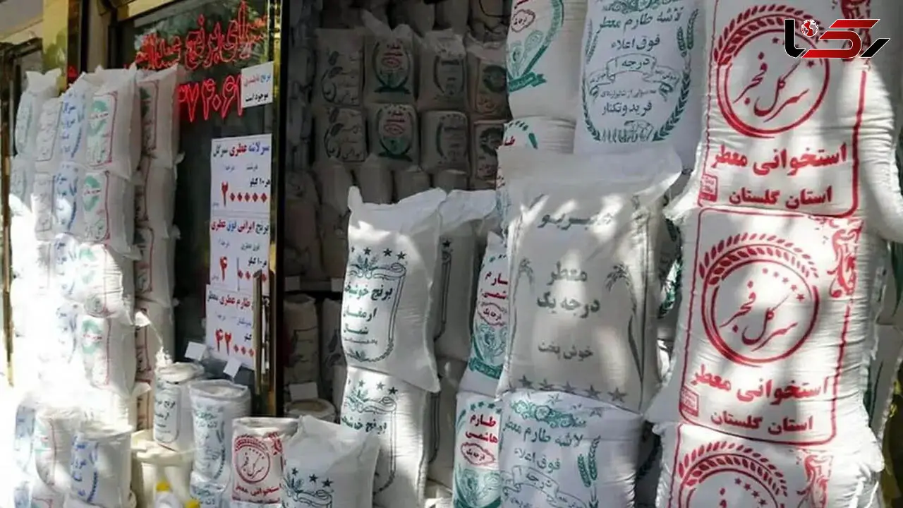 قیمت برنج ارزان می‌شود