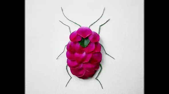 خلاقیت جالب یک هنرمند در نمایش حشرات و بندپایان +عکس های دیدنی 