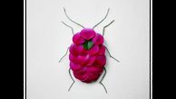 خلاقیت جالب یک هنرمند در نمایش حشرات و بندپایان +عکس های دیدنی 