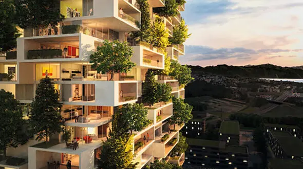 جنگل هایی در میان خانه های داخل شهر +عکس