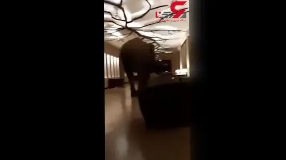 ورود ناگهانی یک فیل به لابی هتل+فیلم