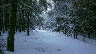 ببینید / نماهنگ برف با صدای چارتار و تصاویر منظره برفی + فیلم