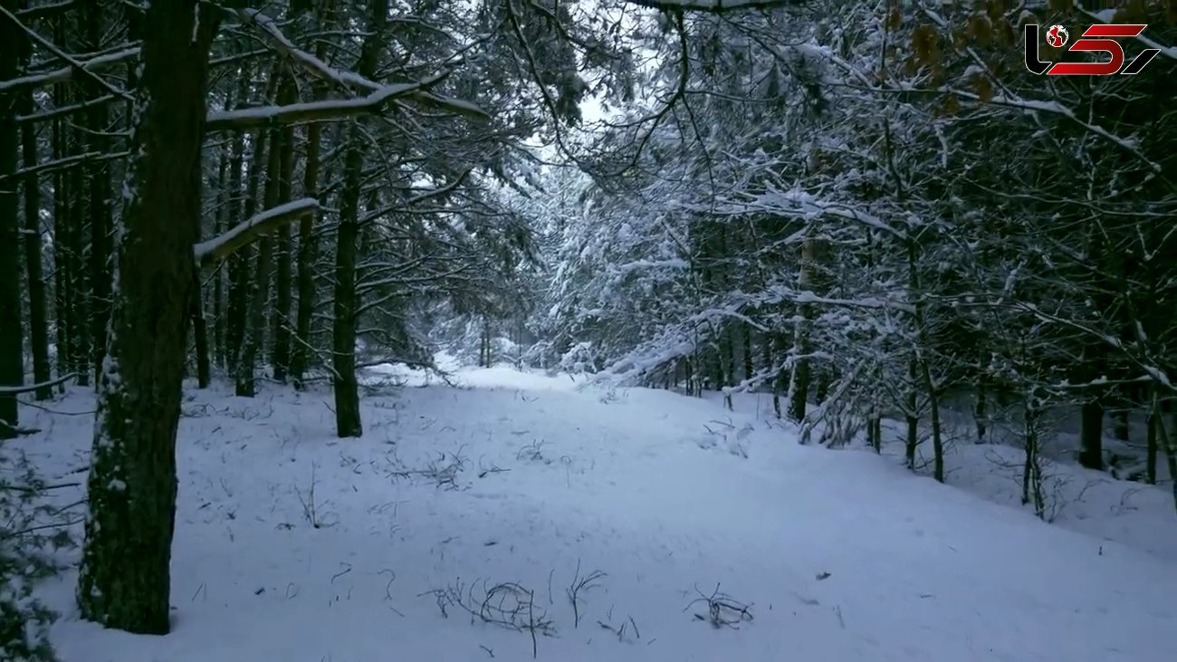ببینید / نماهنگ برف با صدای چارتار و تصاویر منظره برفی + فیلم