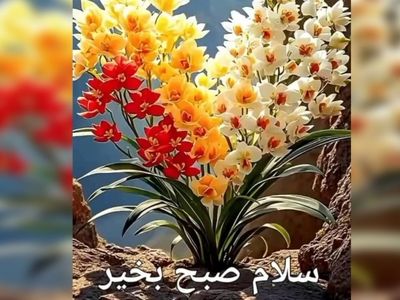 فال و طالع بینی روزانه 16 اردیبهشت + فیلم 