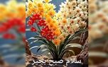 فال و طالع بینی روزانه 16 اردیبهشت + فیلم