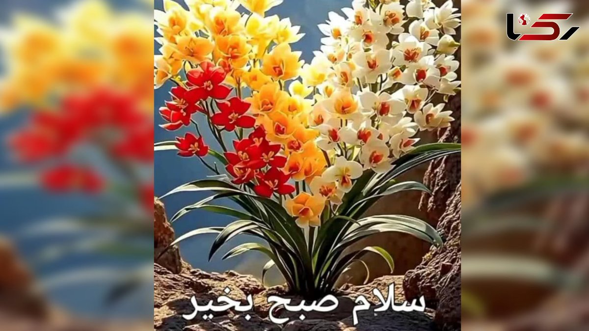 فال و طالع بینی روزانه 16 اردیبهشت + فیلم