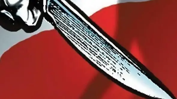 کوچکترین قاتل ایران برادرش را در استان فارس کشت