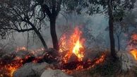  ارتفاعات مارین گچساران همچنان در آتش می سوزد