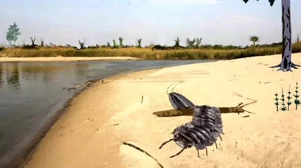 حکمرانی هزارپا های غول پیکر پیش از دایناسورها به زمین  ! + عکس ها