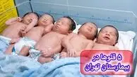 به دنیا آمدن 5 قلوهای مریوانی در تاریخ رند 1405 + فیلم و عکس
