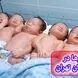 به دنیا آمدن 5 قلوهای مریوانی در تاریخ رند 1405 + فیلم و عکس
