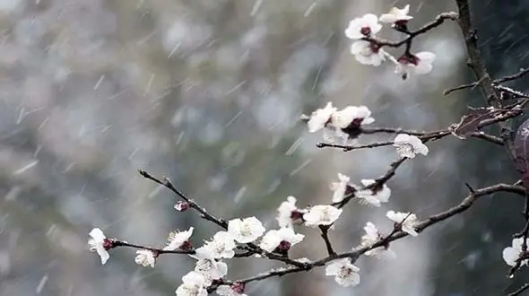 هشدار /  بارش برف و باران در 23 استان کشور/ ورود سامانه  از فردا