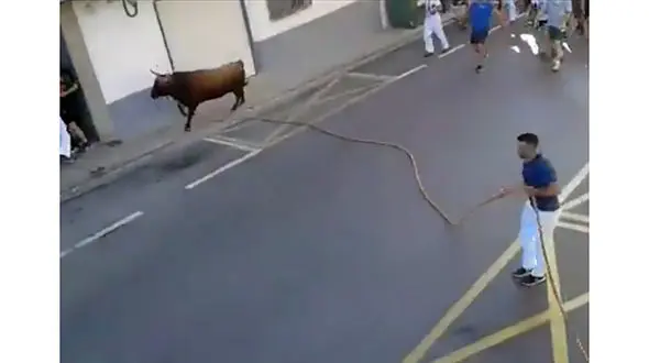 حمله خونین گاو به مردم در خیابان های ساوه / با گلوله پلیس کشته شد!