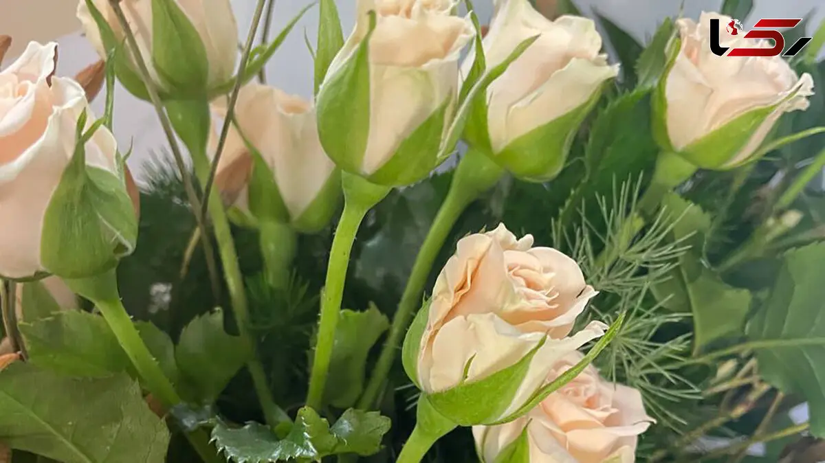 فال و طالع بینی امروز 20 خرداد + فیلم