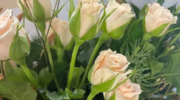فال و طالع بینی امروز 20 خرداد + فیلم